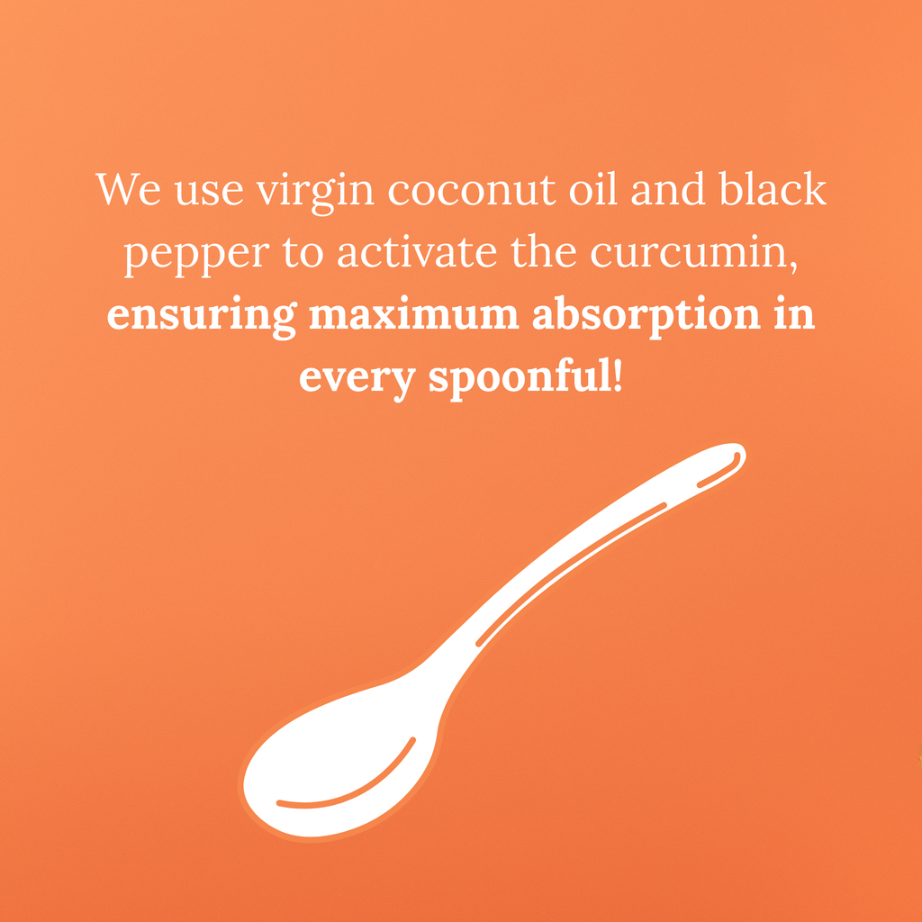 Whole Root Turmeric Paste 6 x 190g